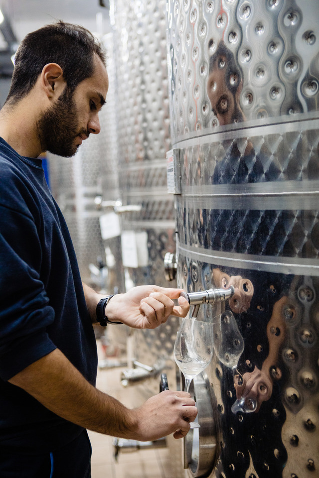 Santorini Wine Testing Experience: Wine Direct from Barrel to Glass