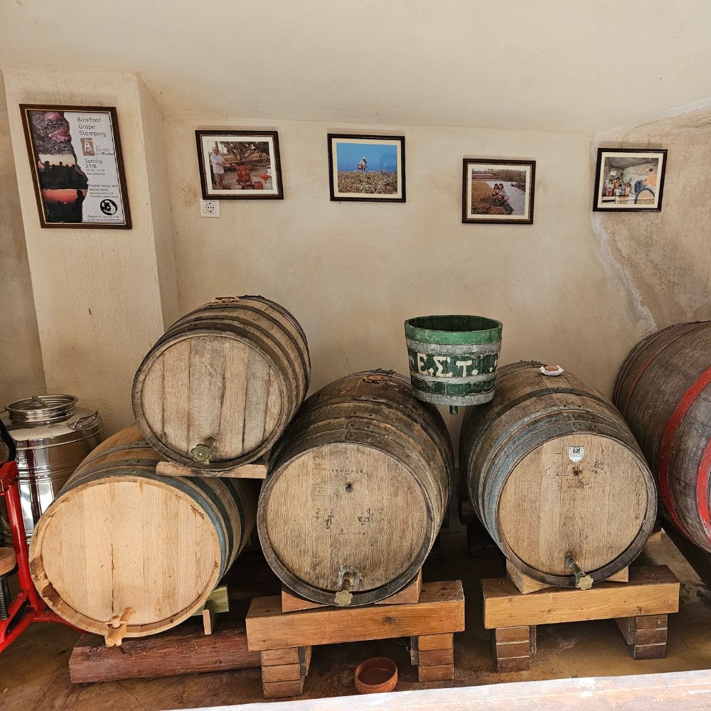 Santorini Wine Tour: Private Host, Wineries & Delicacies